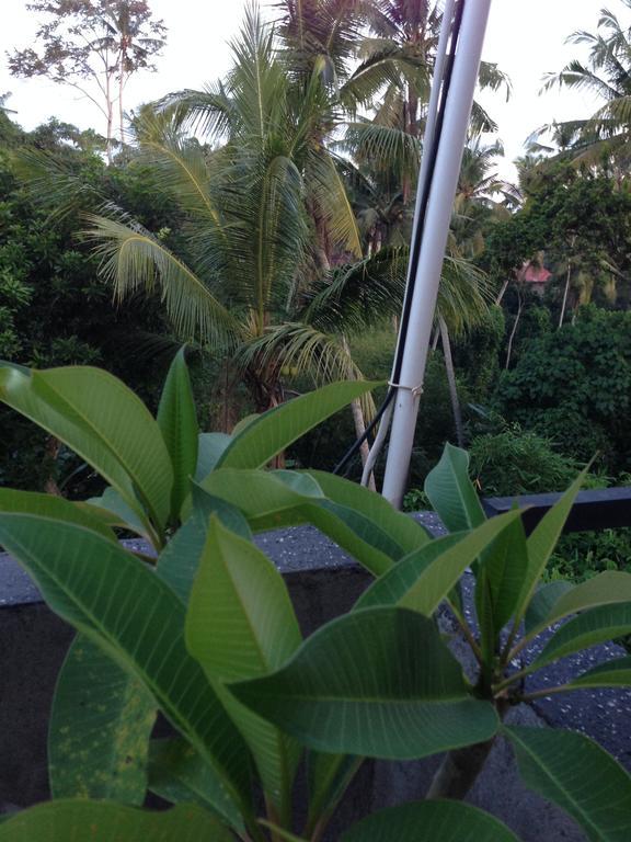 Apartmán Cebluk Sari Ubud Exteriér fotografie