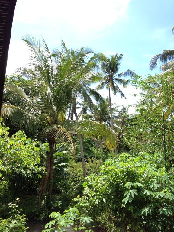 Apartmán Cebluk Sari Ubud Exteriér fotografie